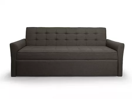 Zenith Sofa Cum Bed in Dark Grey